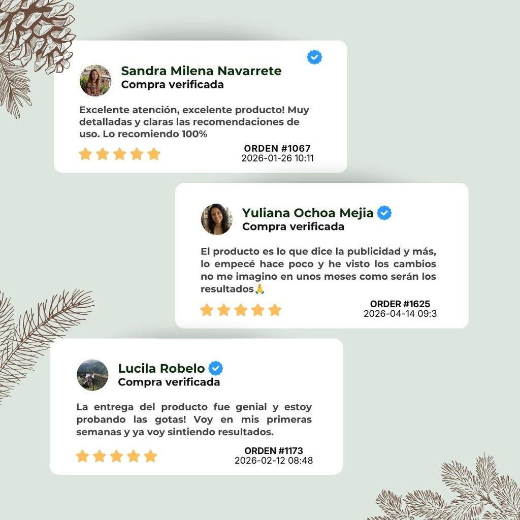 Aceite Esencial de Pino Marítimo