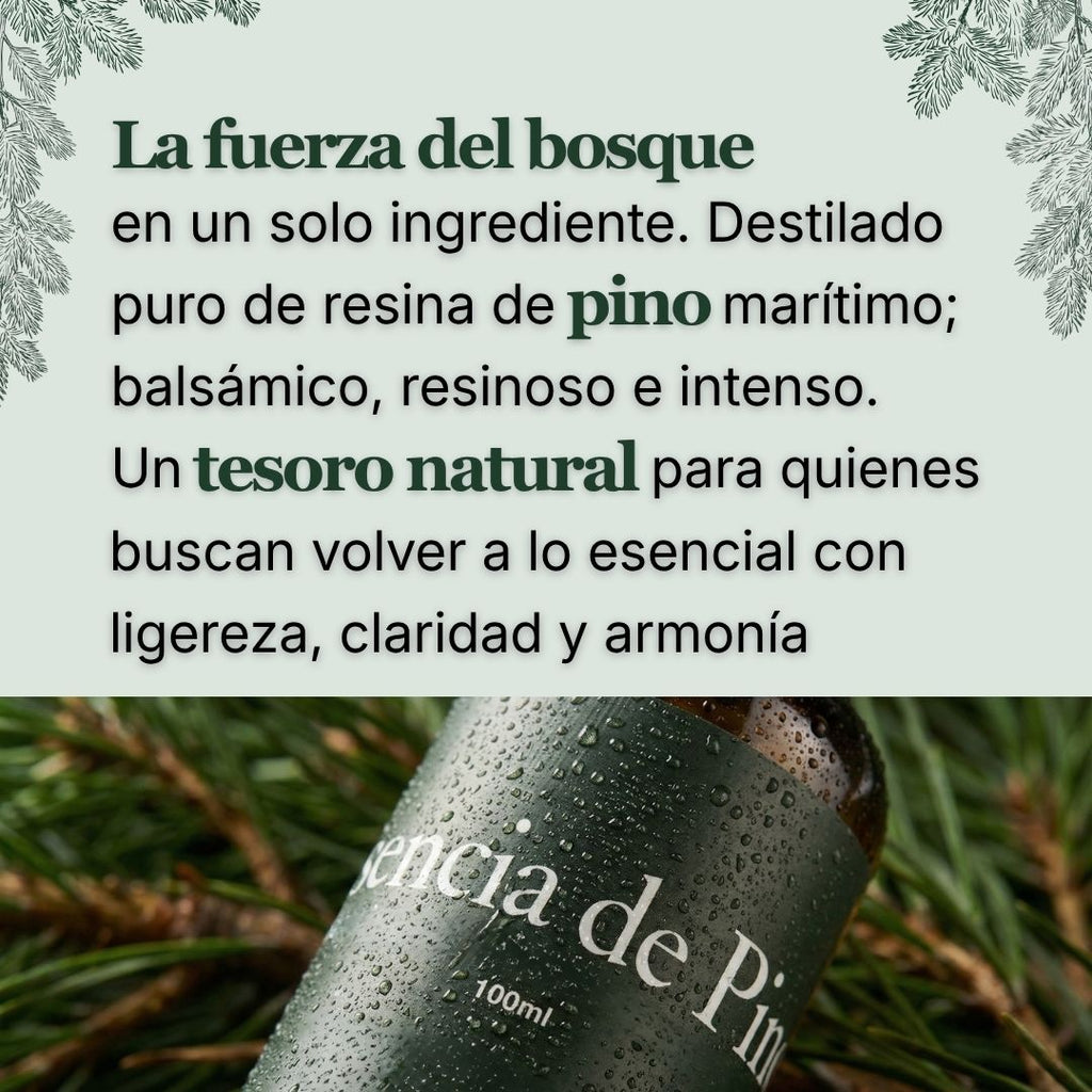 Aceite Esencial de Pino Marítimo
