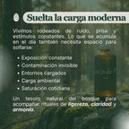 Aceite Esencial de Pino Marítimo