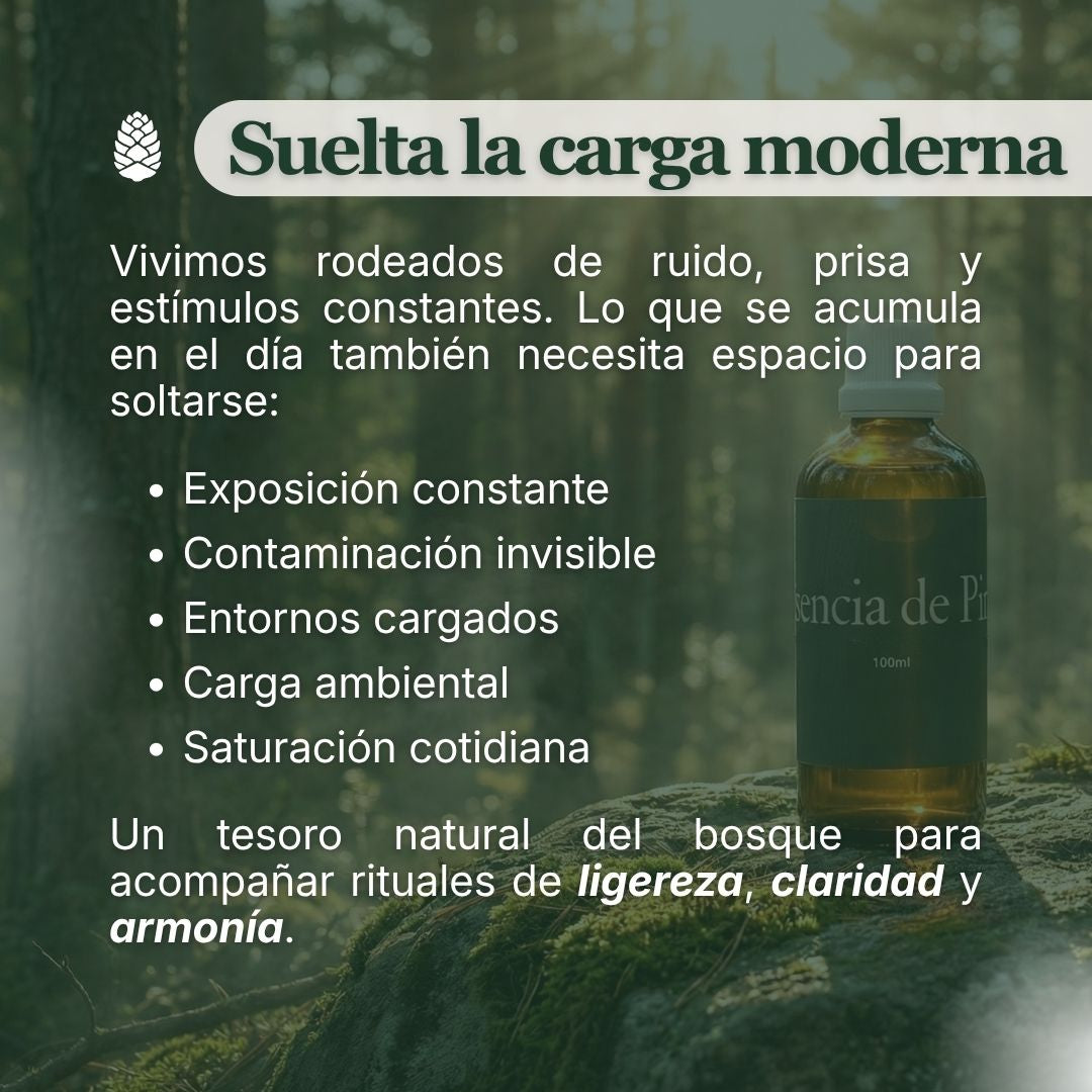 Aceite Esencial de Pino Marítimo