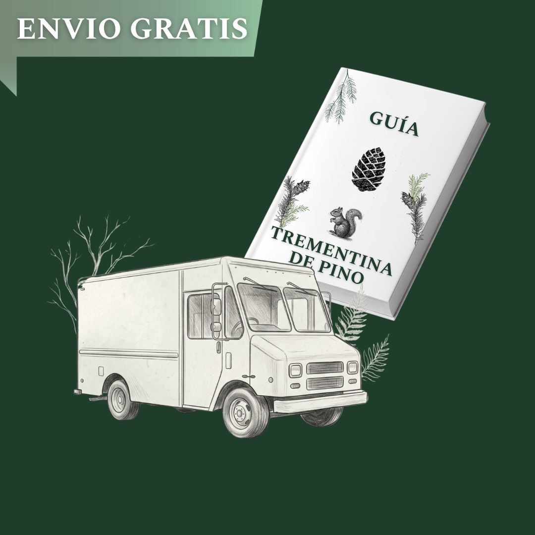 Envio Gratis Pedido Prueba